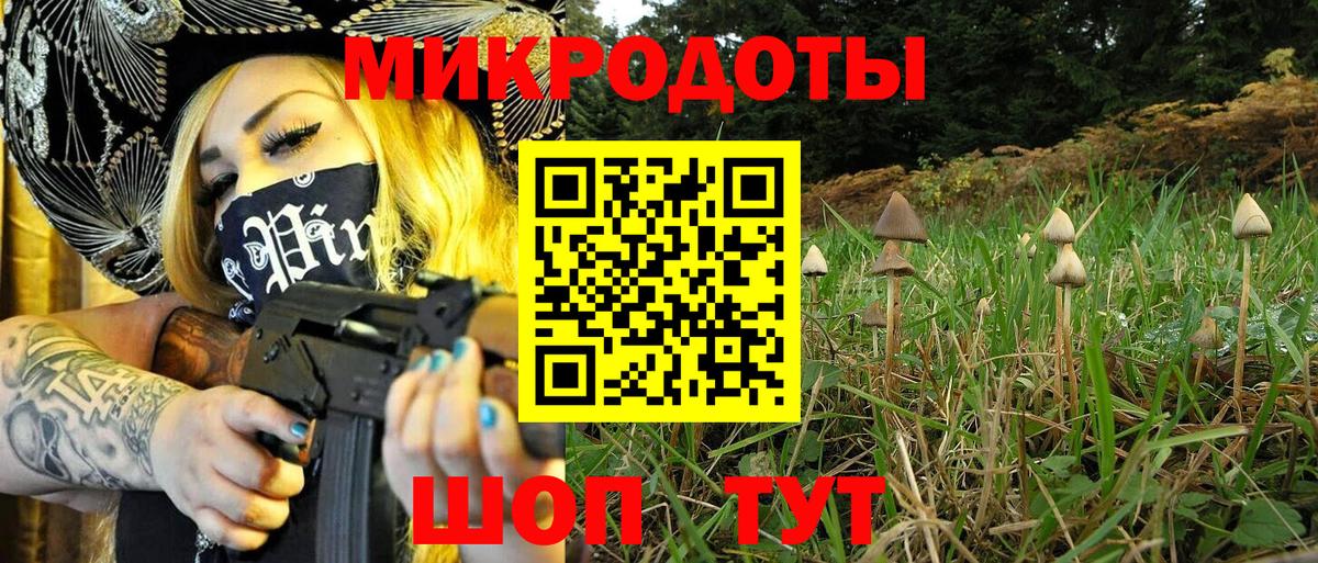 Аргун  Псилоцибиновые грибы мухоморы  Вход с VPN 